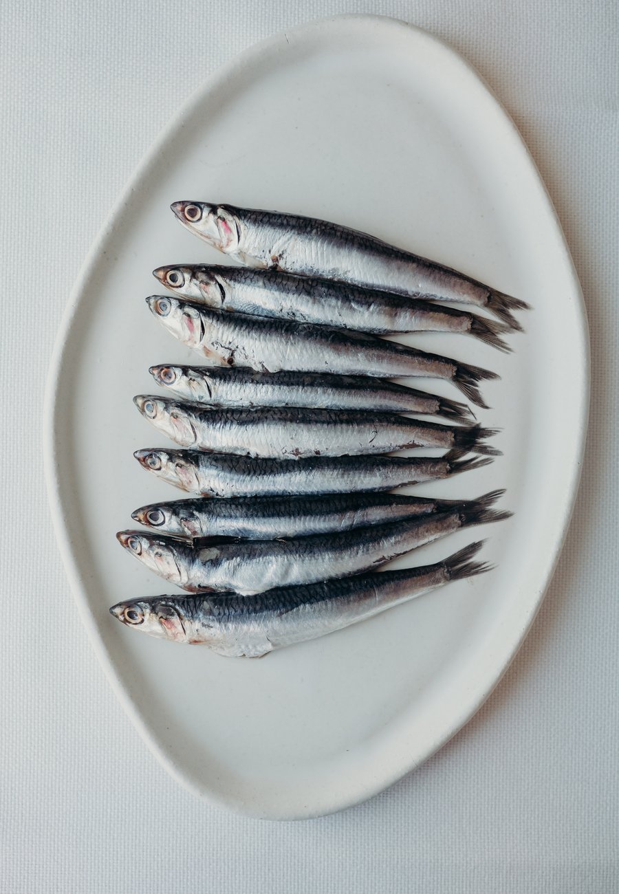 PESCADO CADAQUES TALLA